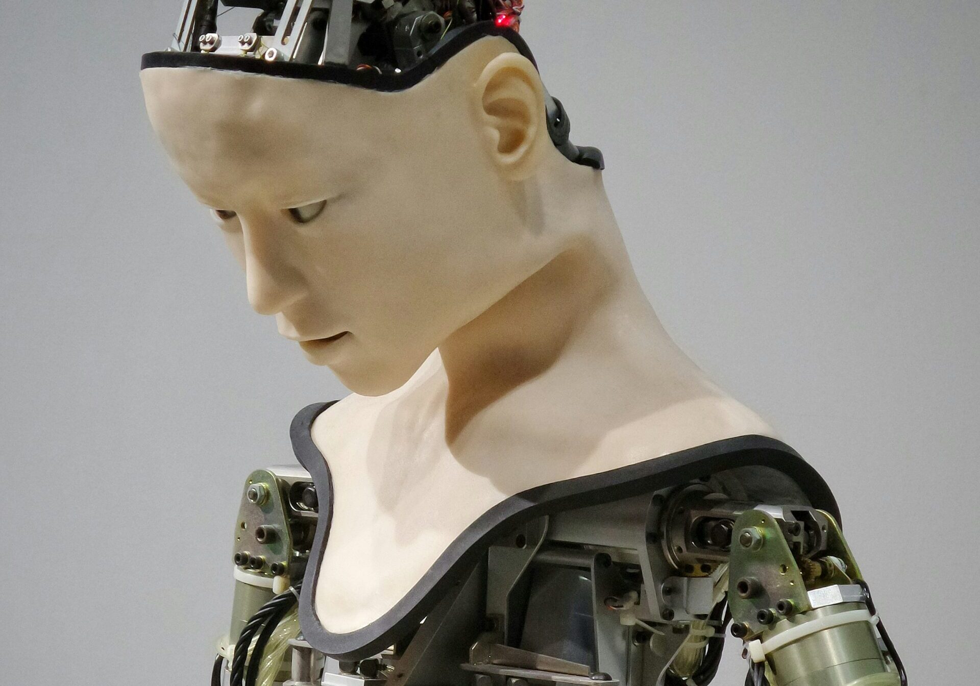 white and brown human robot illustration